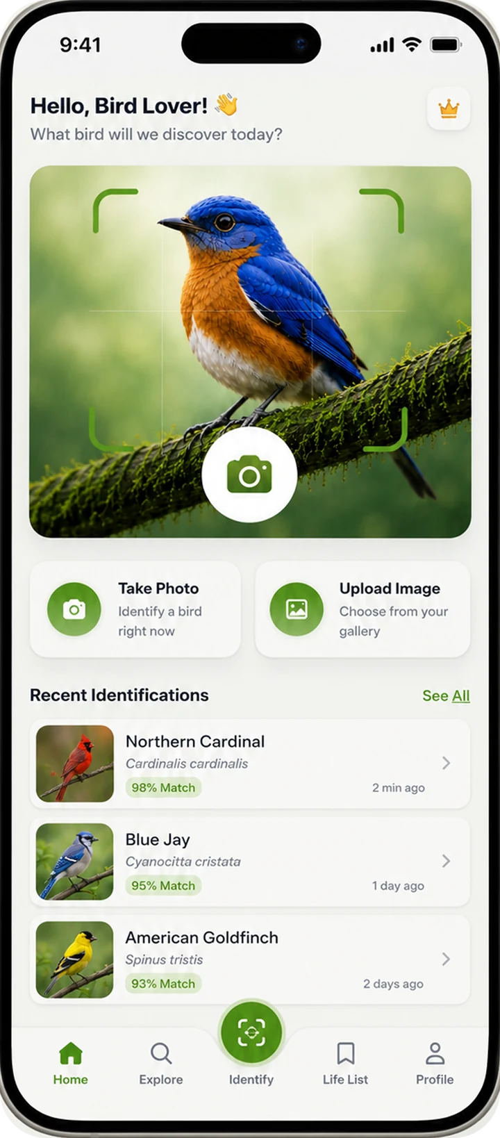 Birdly AI running on iPhone: a bird framed in the camera viewfinder, with recent identifications listed below — Northern Cardinal at 98% match, Blue Jay at 95%, American Goldfinch at 93%.